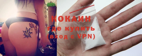 a pvp Горняк
