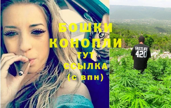 a pvp Горняк