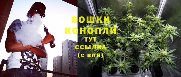 СК Горно-Алтайск