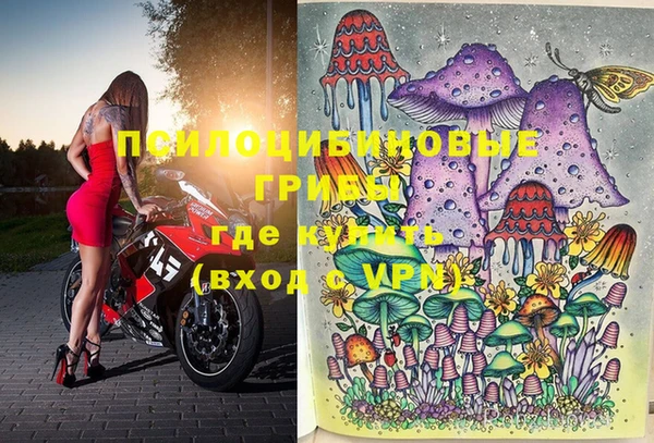 гашиш Горнозаводск