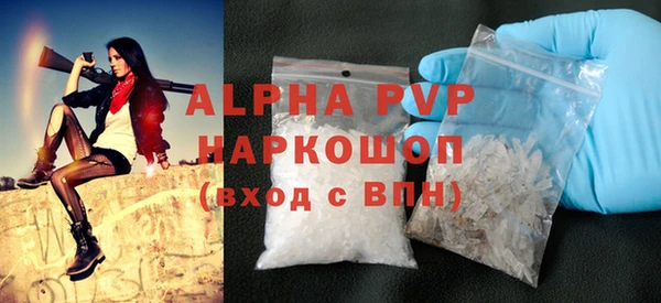 СК Горно-Алтайск