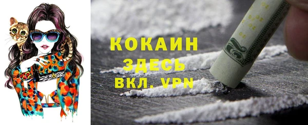a pvp Горняк